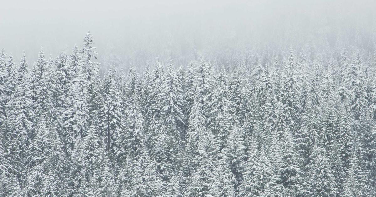 16 Minute Cardio Step Up Sweat Workout | Beginner to Advance! Trainer - ARINAO