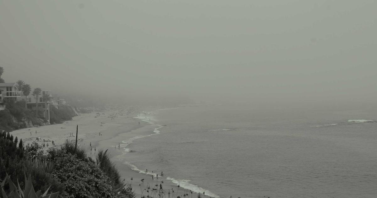 Best Gym Edits Compilation 🥶 #9: Unleash Your Inner Athlete