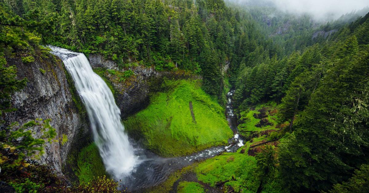 7 Proven Picks: Best Multivitamin for Women (2026 Guide)