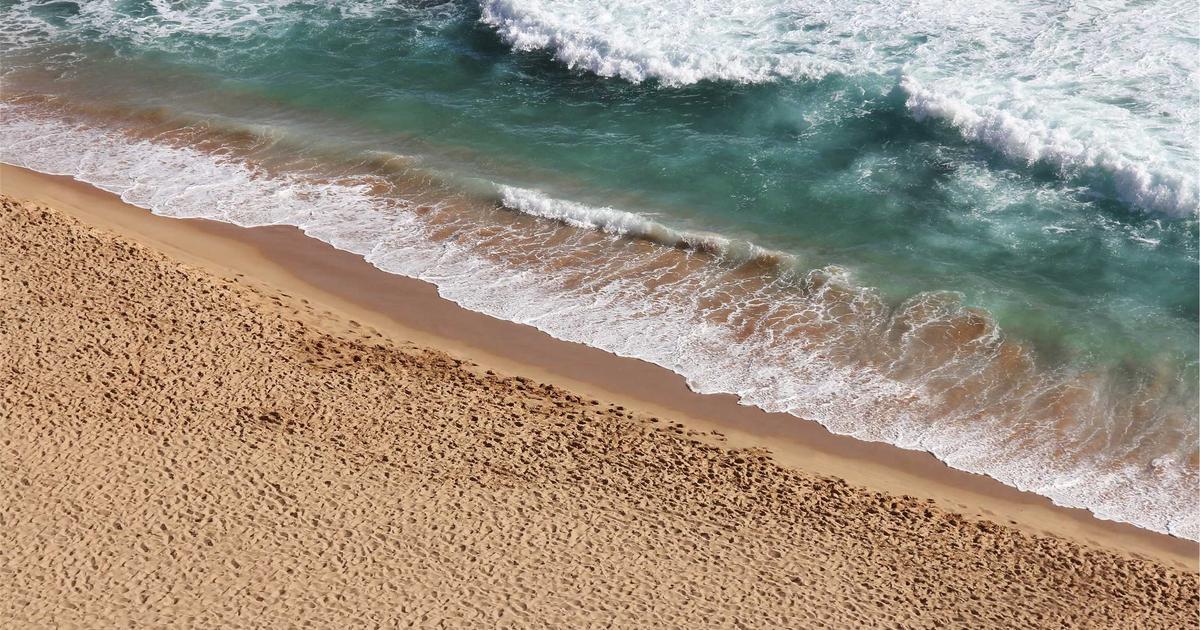 The Best Probiotic Toothpaste Benefits for Your Oral Health