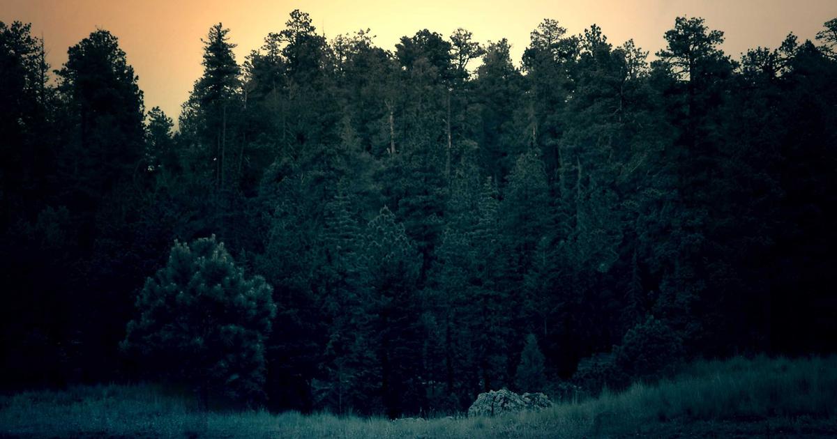 Best Probiotics for Daily Health in 2026