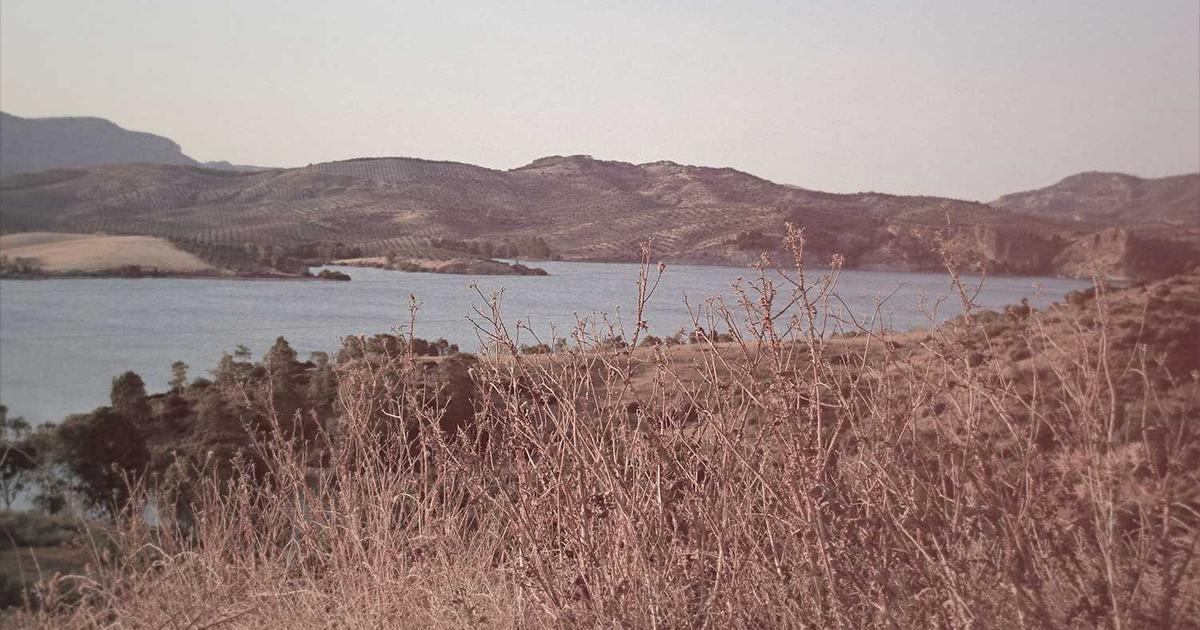 The Best Vitamins for Energy in 2026