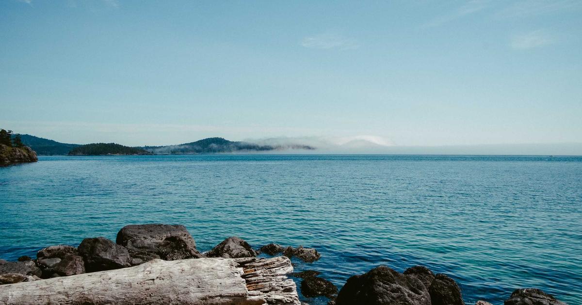 Breathe Better: Top Breathing Techniques for Wellness