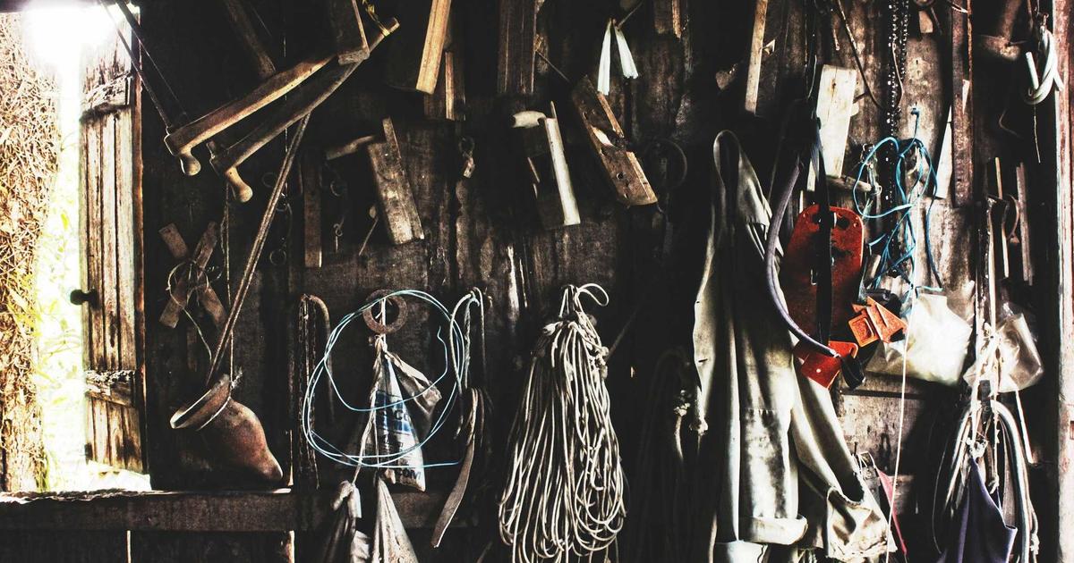 Creatine Women Over 40: Dosage, Timing, and Safety