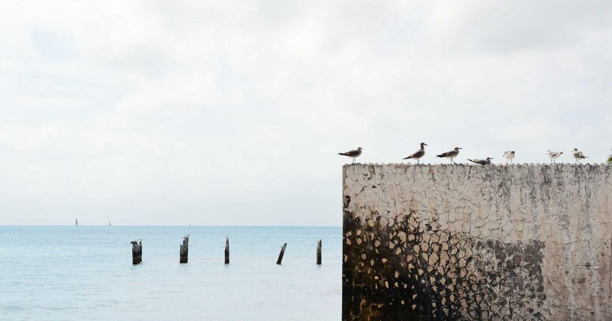 D1 Off Season Workout: Insights from a USC Women's Basketball Player