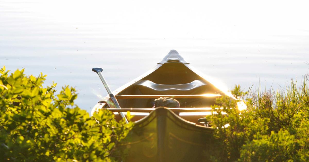 Mission Liberation: Paving Your Way to Samadhi with Mysterious Yoga Masters