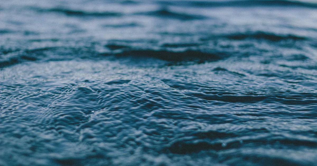 Top Probiotic Benefits for Your Health and Wellness