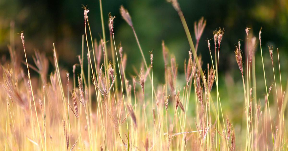 10 Proven Strategies to Reduce Stress and Boost Wellness