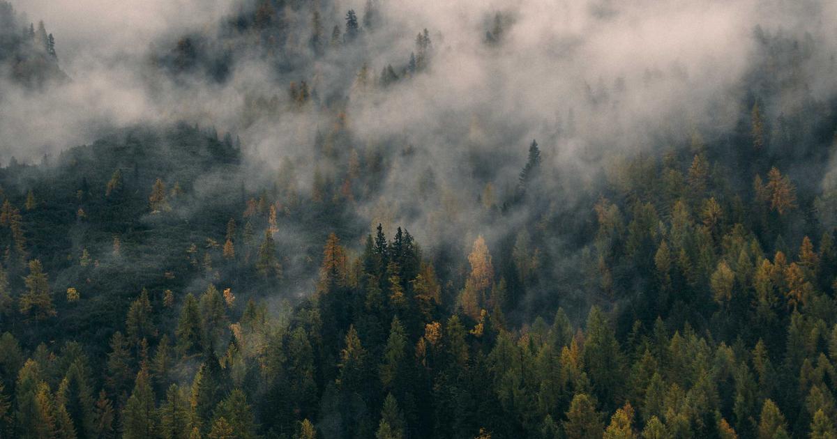 Tart Cherry Juice Sleep: Dosage, Timing, and Real Results