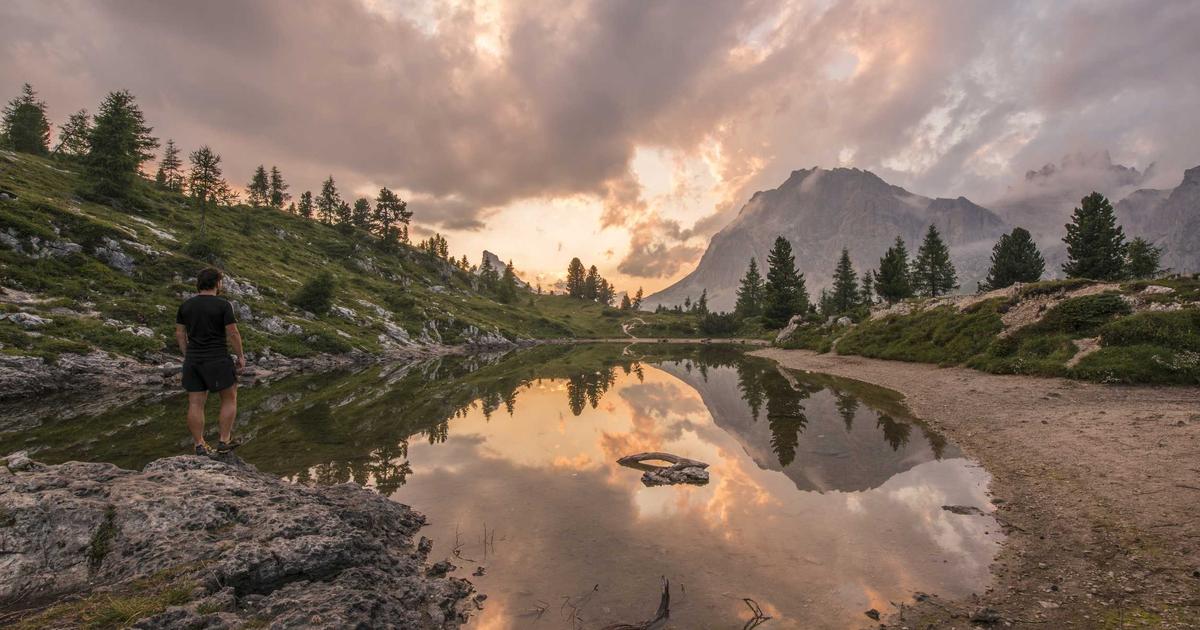 Theanine Anxiety: Dosage, Timing, and Safety (What Actually Works)