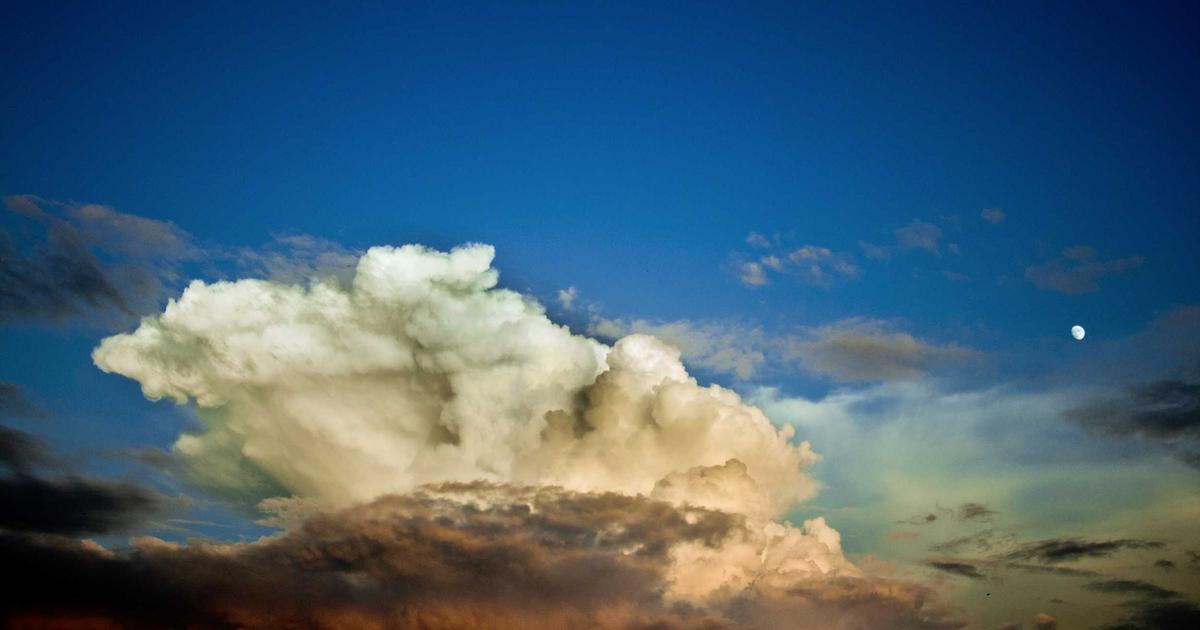 Top 5 Vitamins for Energy: Proven Picks (2026)