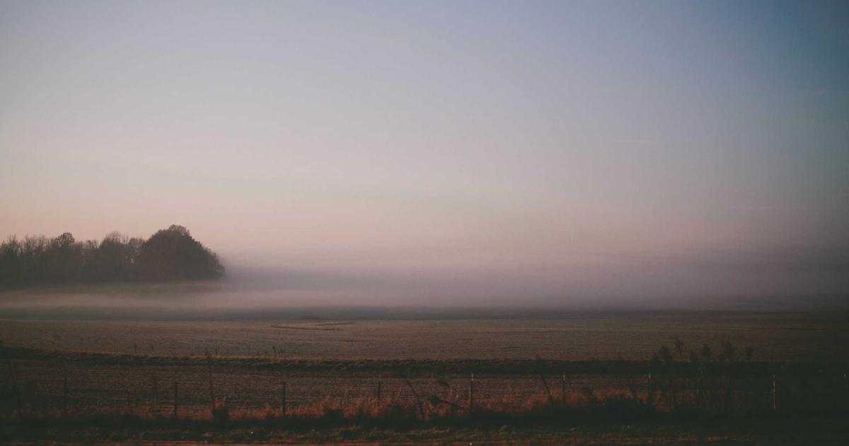 Top Benefits of the Best Probiotic Supplements in 2026