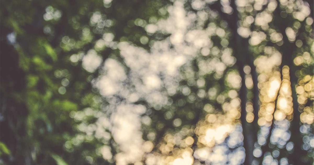 Understanding Cervical Cancer: Insights from Snooki's Diagnosis