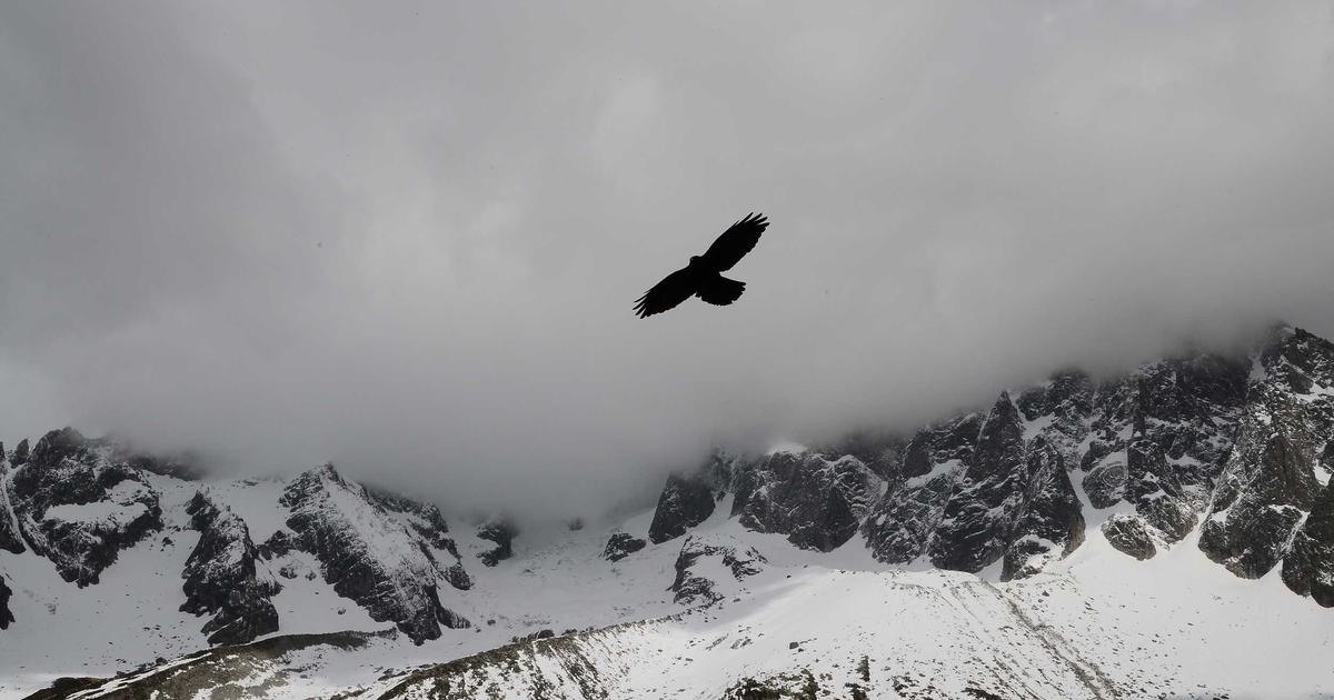 Vitamins for Energy: Top 5 to Boost Your Mood Naturally