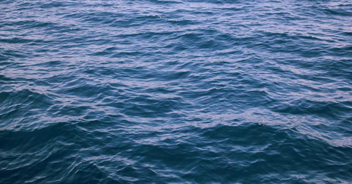 7 Best Women’s Vitamins (Proven) for Energy 2026