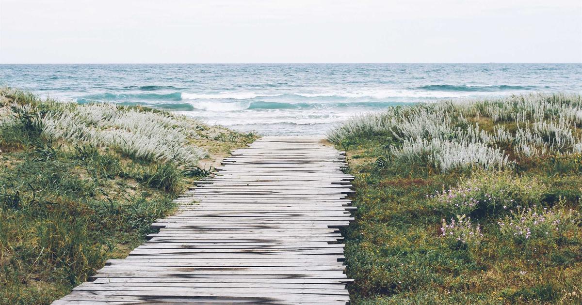 Zone Heart Rate Calculator: Find Your Zone 2 Fat-Burning Range (The Simple Way)